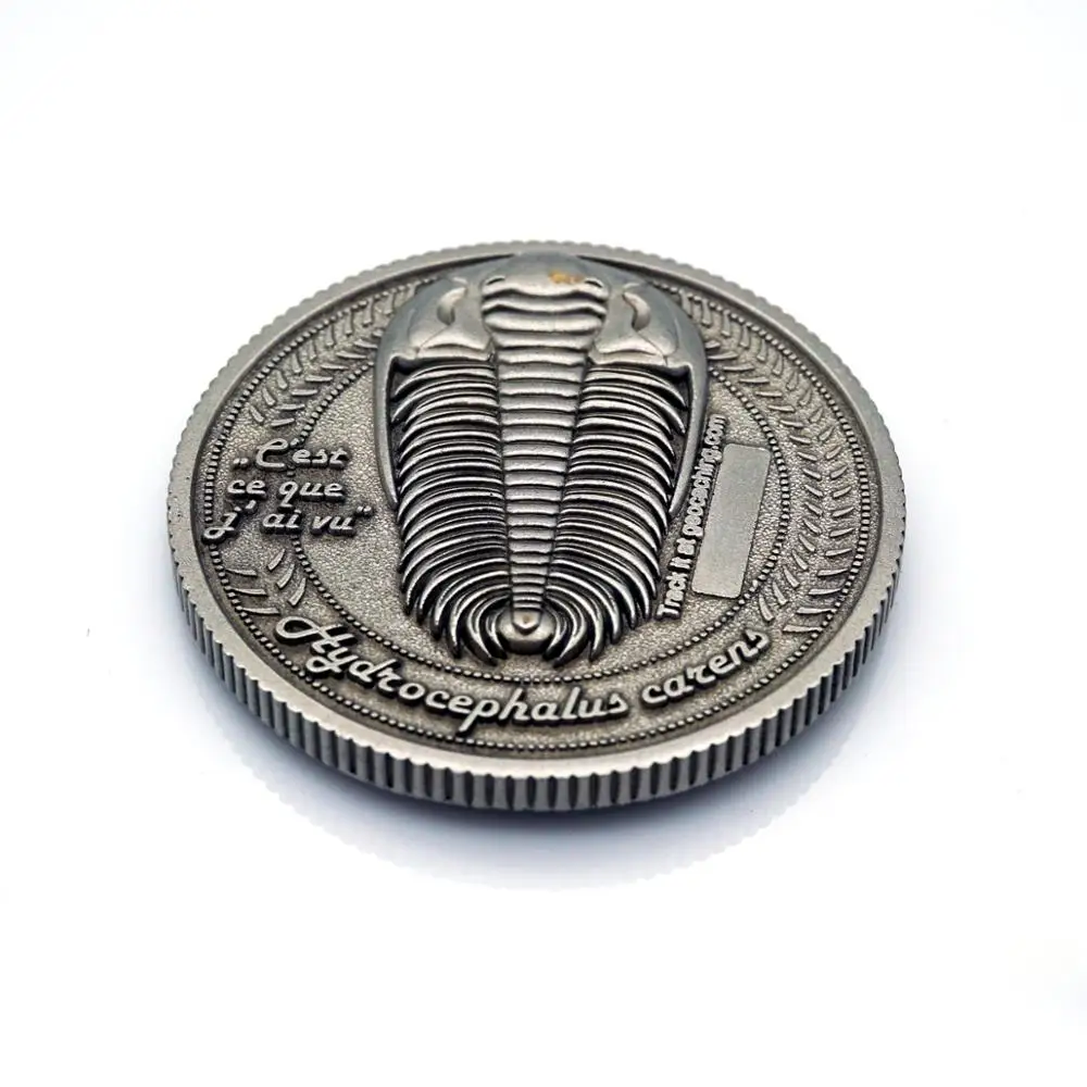 Wholesale customized 3d antique gold silver plated blank metal zinc alloy hard enamel army navy custom military challenge coin