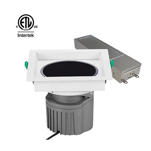 Modern Decorative Aluminium Housing Clear Lighting Hotel Ceiling Recessed Adjustable COB Round LED Downlight