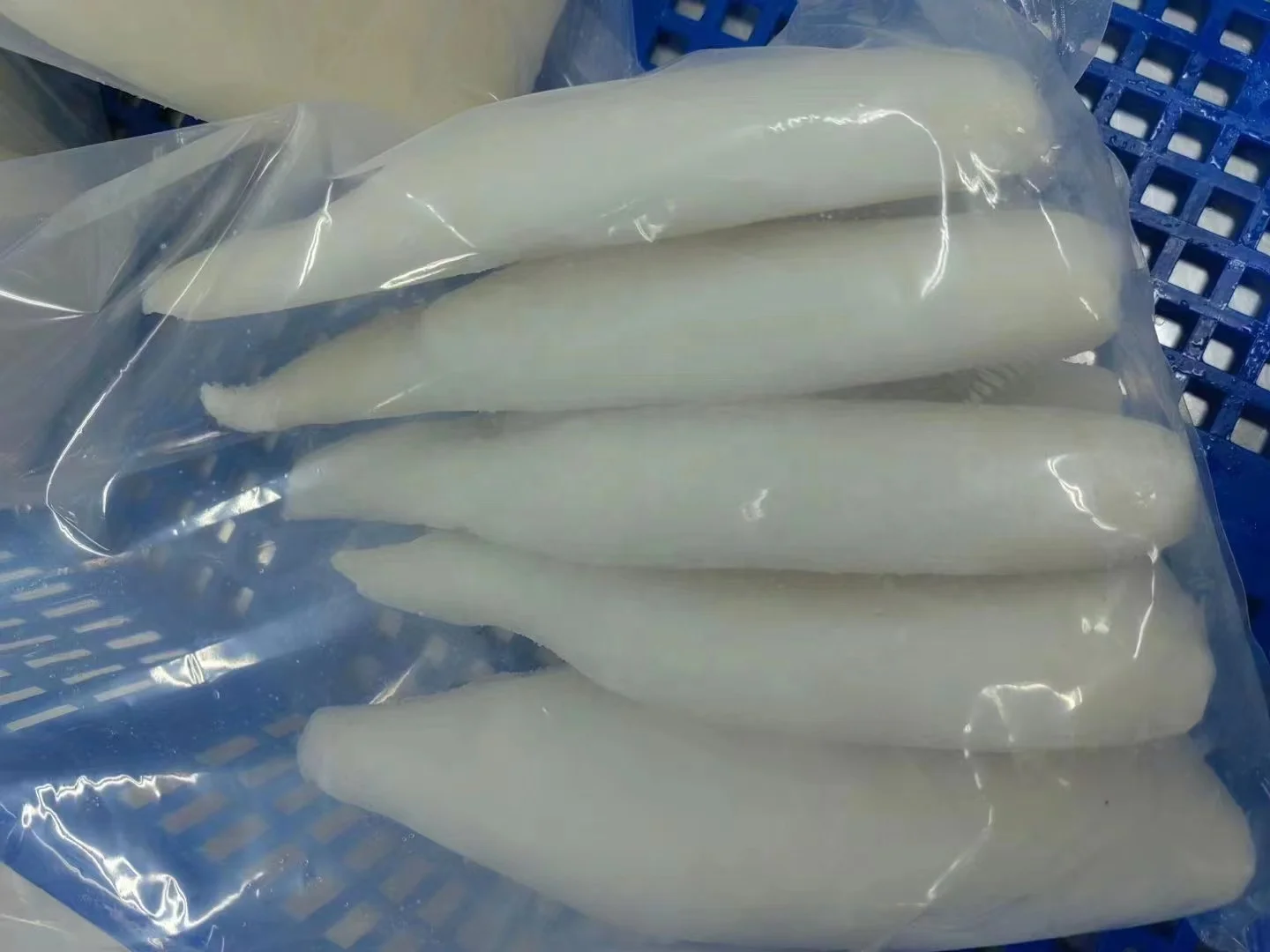 Squid Tube Squid U4 High Quality Eu Standard U3 U5 U10 Clean White Frozen Giant Squid Tube U5