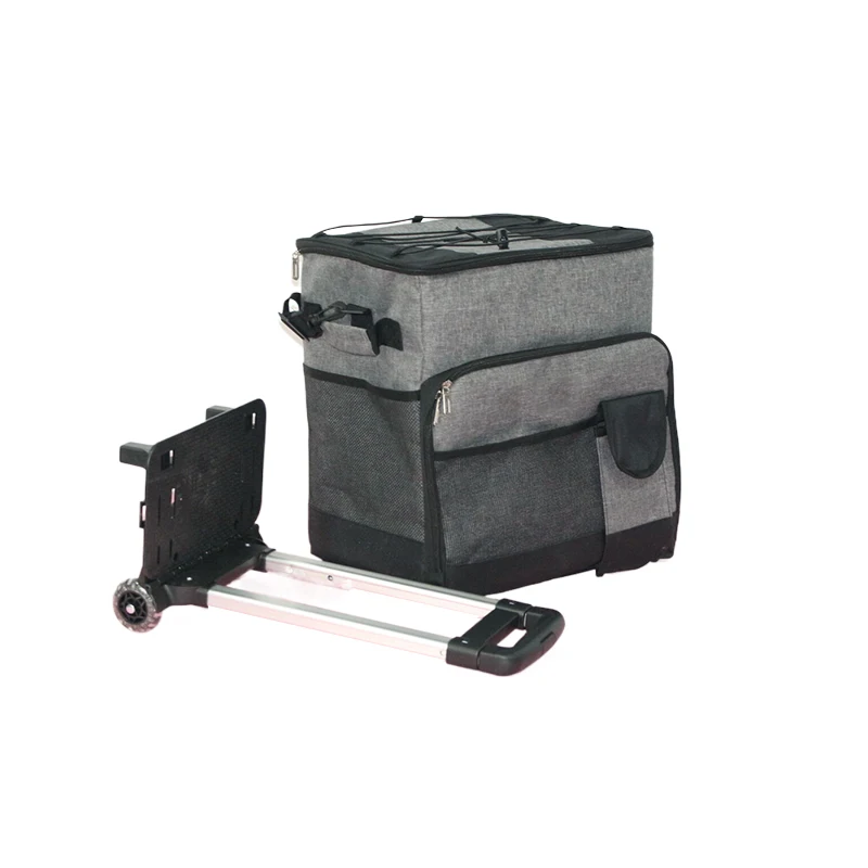 In stock fast delivery bulk insulin ice cooler bags food, fruit cans carry thermal isolated bags with shoulder strap/