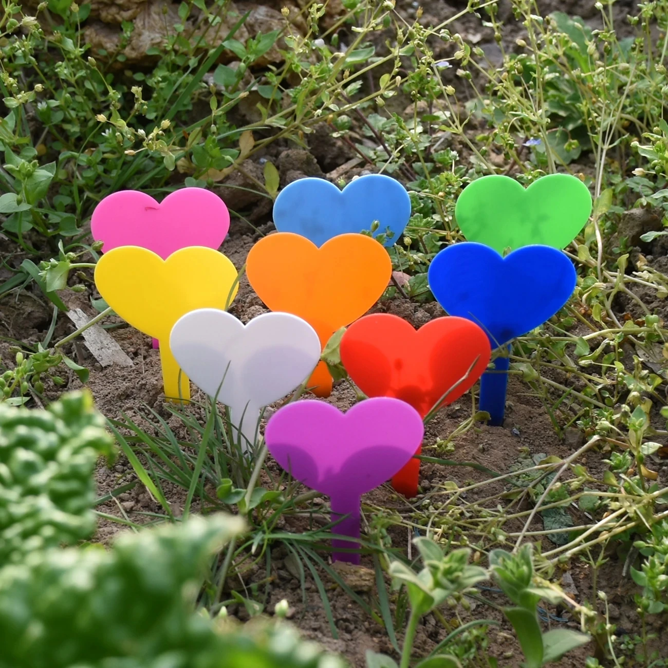 100PCS Waterproof Garden Plant Labels Plastic Tags Nursery Markers Flower Pots Seedling Write Sign Mark DIY Garden Decor Tools