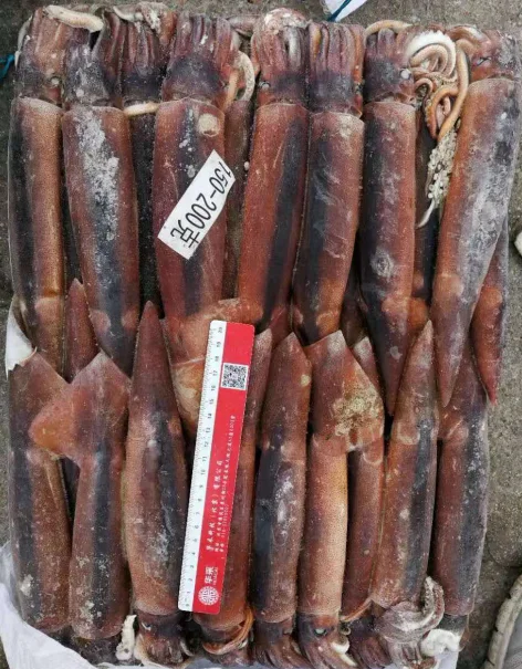 Оптовая продажа привлекательная цена круглая приманка Illex для морепродуктов кальмара
