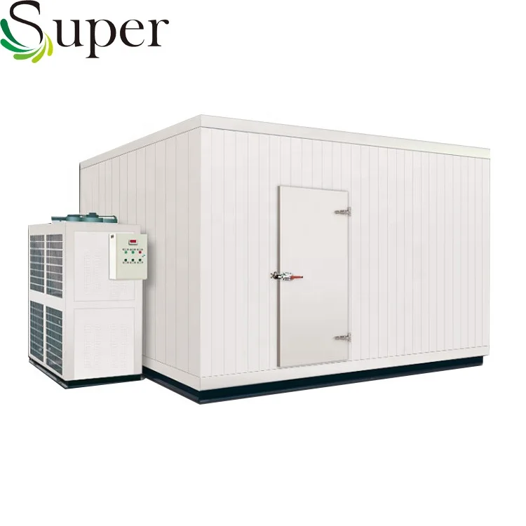 
Small Blast Freezer Cold Room / Cold Room Freezer / Air Chicken Blast Freezer 