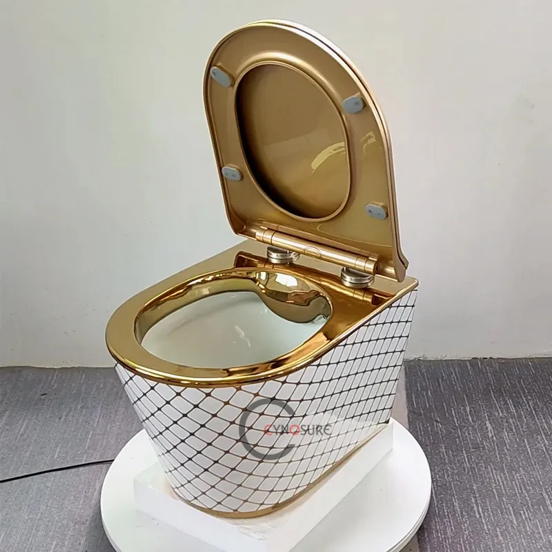 euro design wall mounted toilet