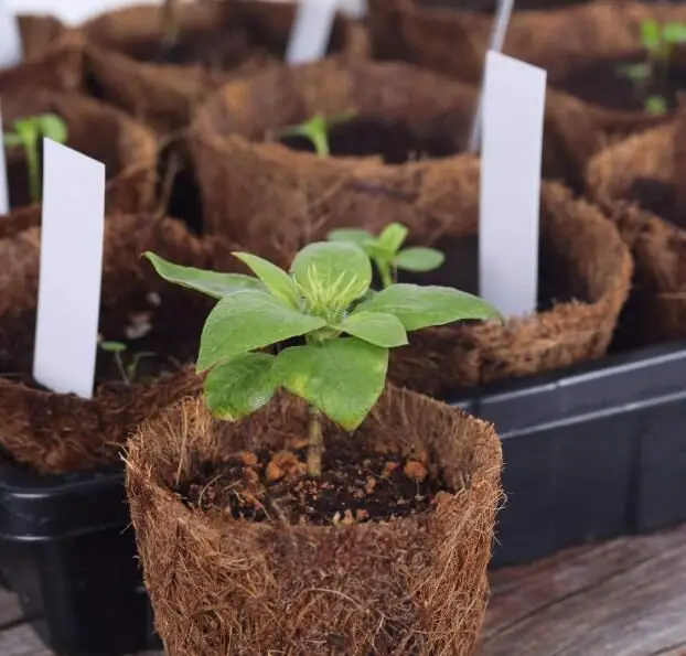 Coconut palm Coco Coir Seedling Starter Pots Tray Sustainable Biodegradable Pots Aternative Peat Pots 20 Plastic Plant Markers