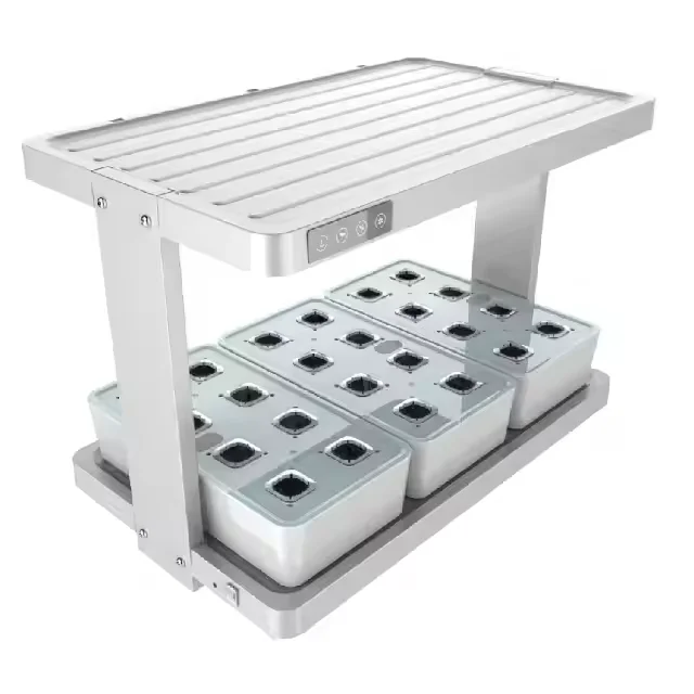 Kitchen Hydroponics Grow Kit Smart Garden Hydroponic With 2 Layers