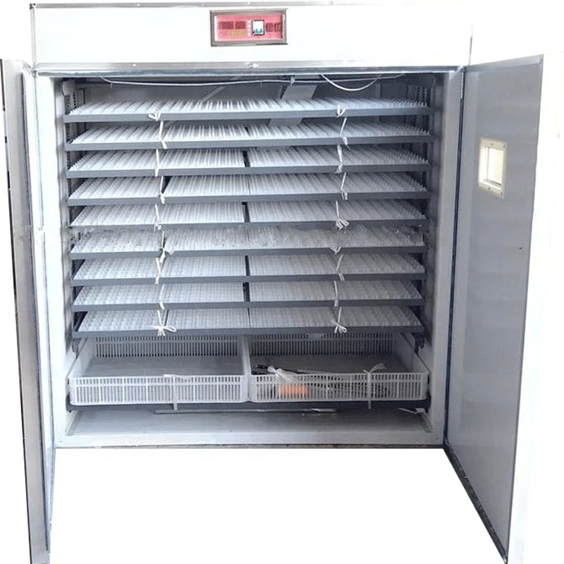 top selling automatic solar 2816 chicken egg incubator small size for sale in Zambia