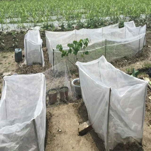 insect breeding tural agro greenhouse butterfly killer orange tree hdpe mesh60 anti insect net roll