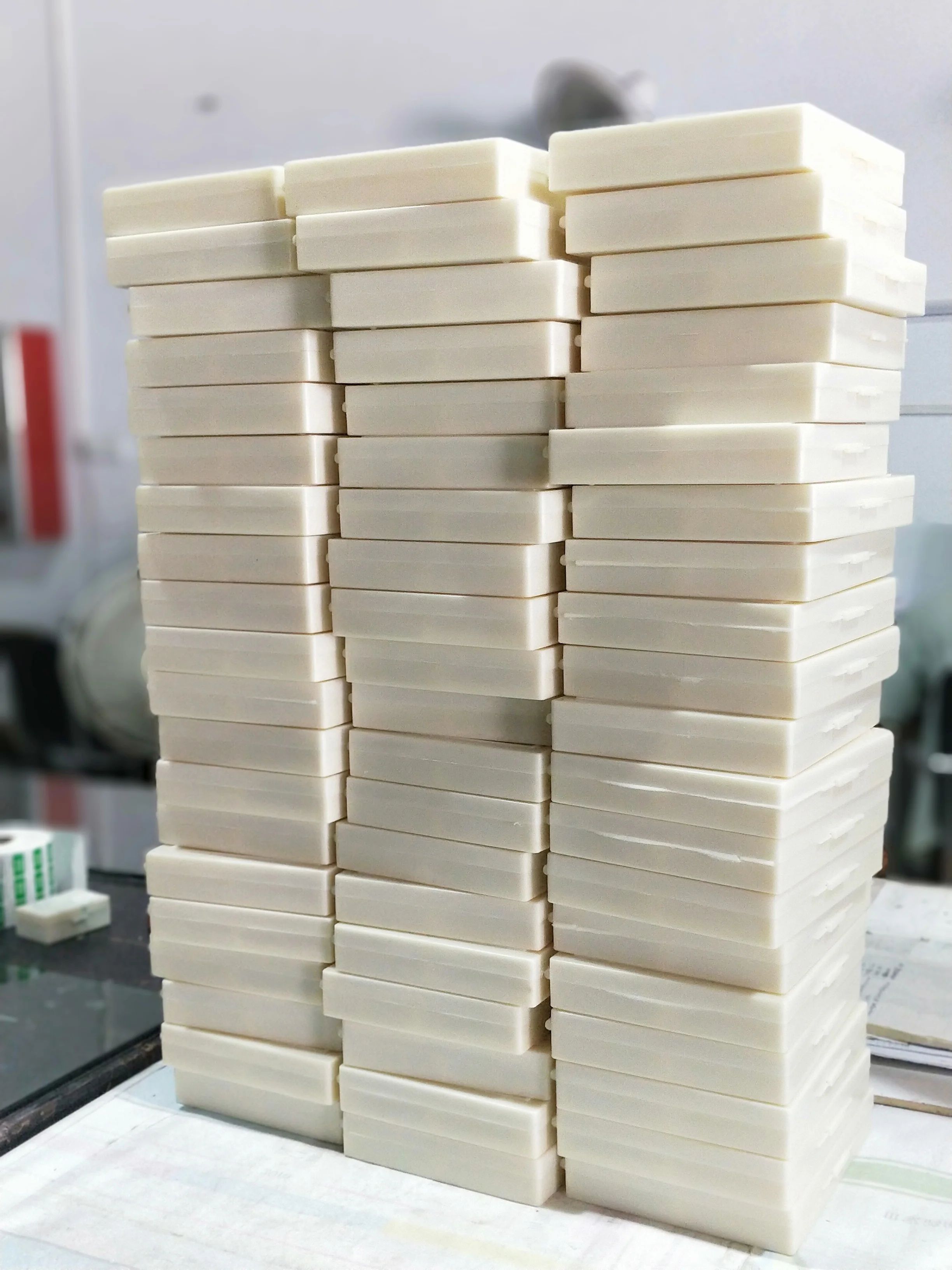 Education Medical Science Natural Botany Leaf Microscope Prepared Slides Set for Teaching and Learning