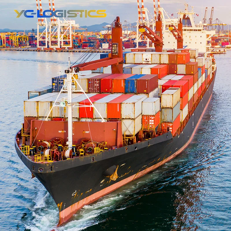 Sea freight forwarder ddp shipping From China to the Usa Canada fba door to door