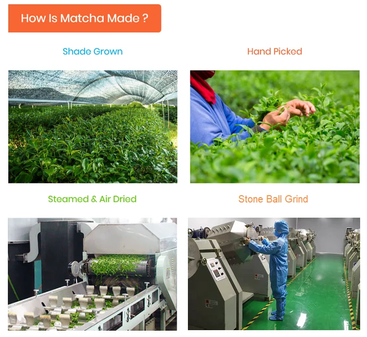 USDA organic green tea powder matcha orginal matcha green tea price per kg