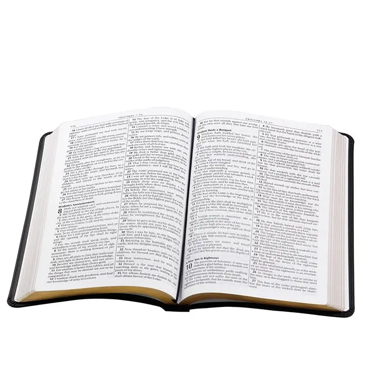 Оптовая продажа OEM King James Holy Bible высокого