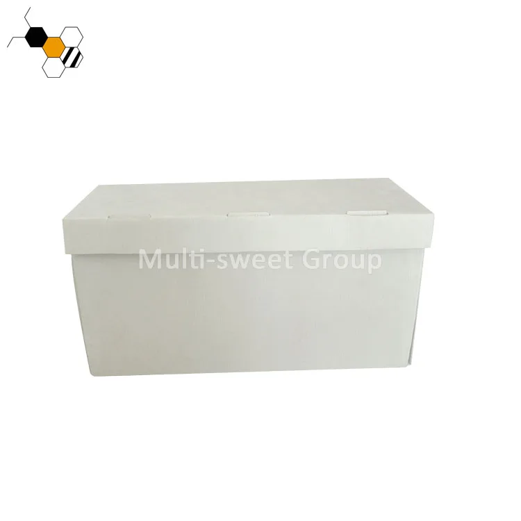 Polypropylene cardboard bee box 5 frames plastic nuc box suitable for dadant frame