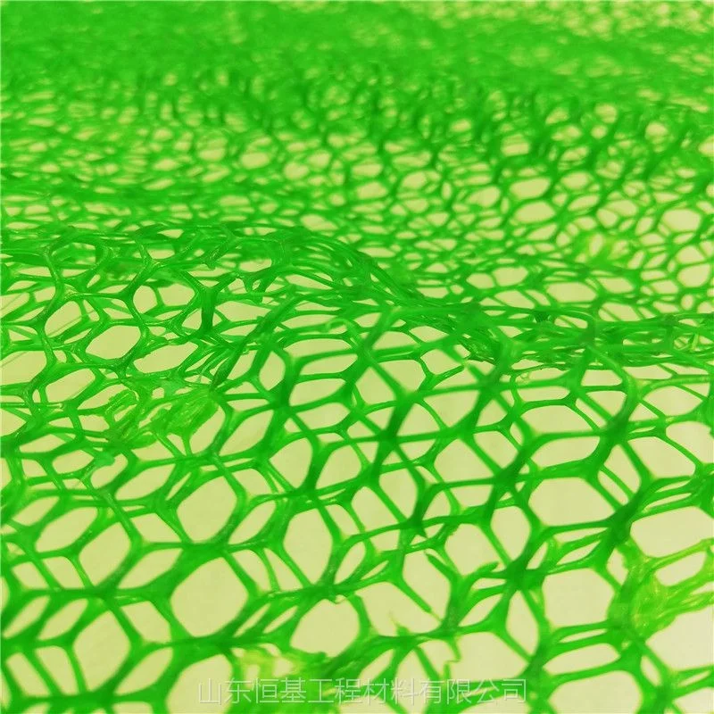 hot sale black green hdpe EM3 EM4 3d geomat price erosion control