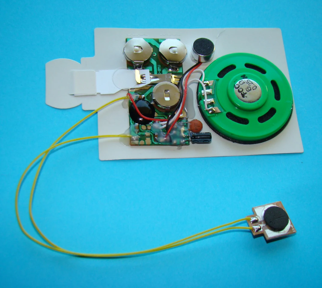 sound module for cards (2).jpg