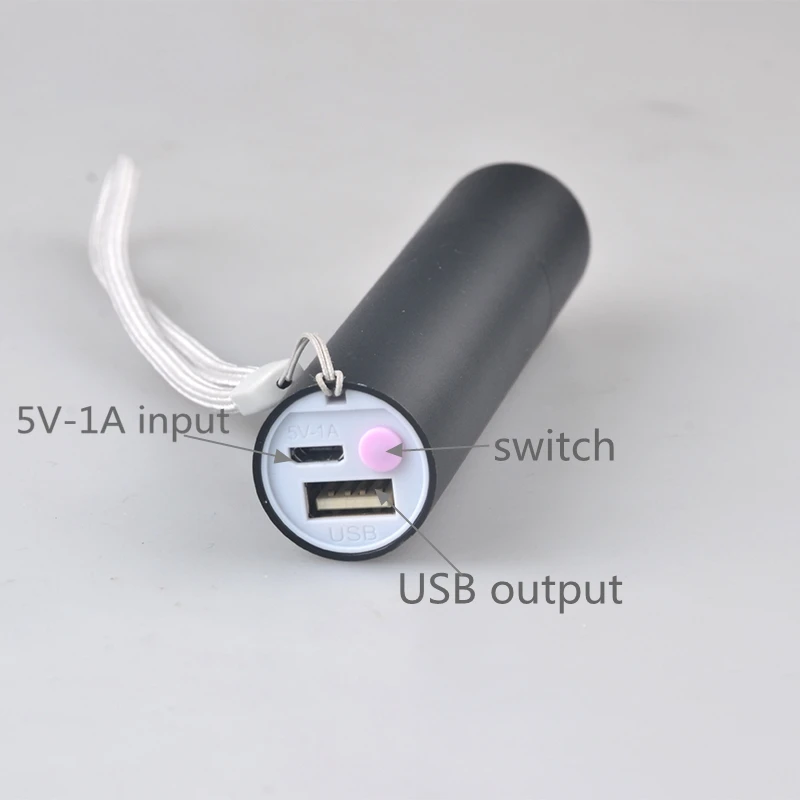 UV Filter 365nm USB Recharbeable Aluminum Flashlight UV Light Antigen Rapid Test