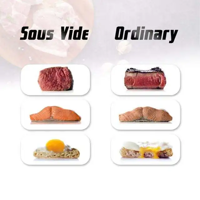 [Handy-Age]-Wholesale Water Proof IP X7 Sous Vide Sous Vide Cooker Slow Cooker