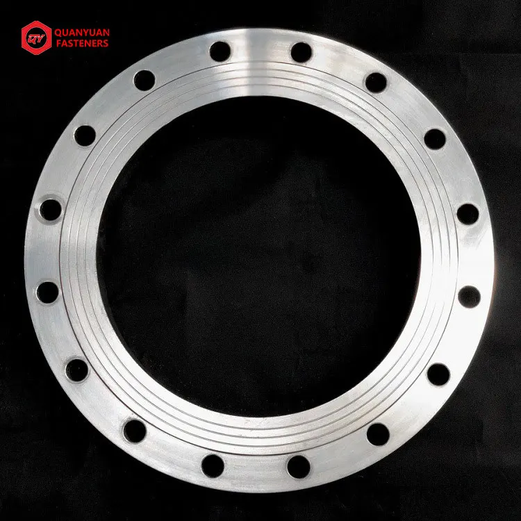 Stainless Steel High Pressure Flat Welding Flange With Neck Socket Welding Flange for Pipeline