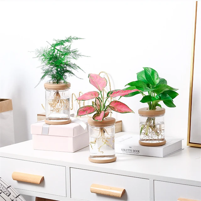 J823 Home Office Automatic Water Absorption Transparent Green Plant Flowerpots Plastic Visible Hydroponic Flower Pot