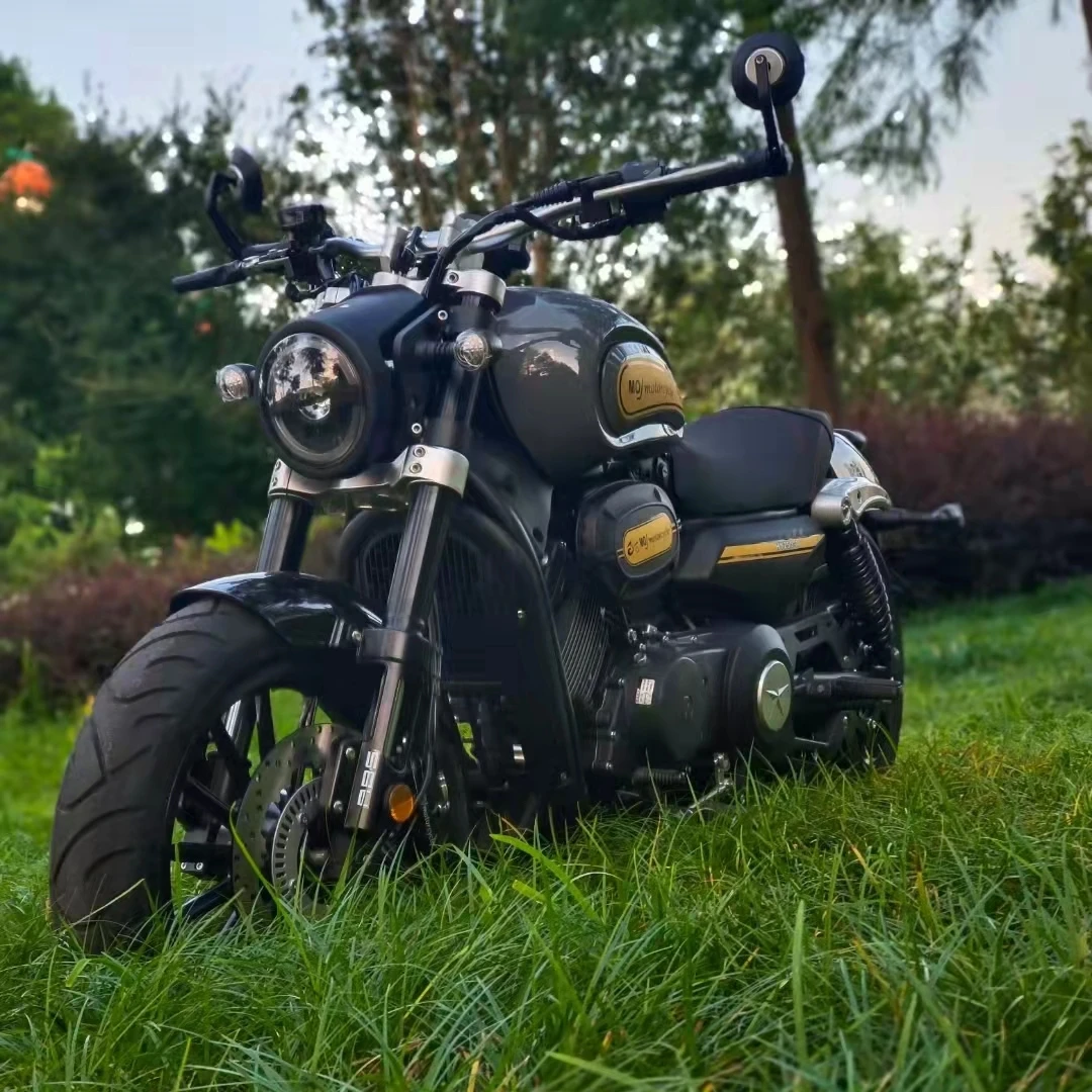 F&R Disc Brake Chopper Motorcycles 250cc 300cc Cheap Electric Chopper Motorcycles display racks