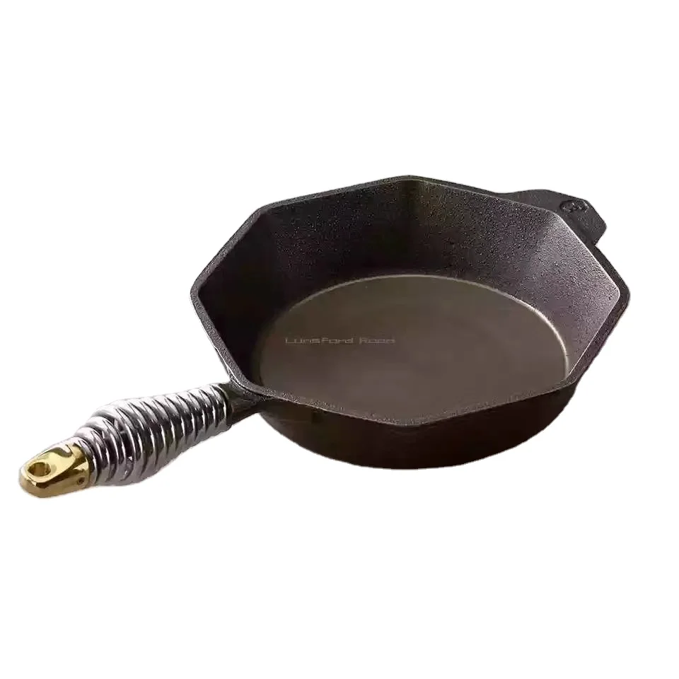 cast iron fry pan with SS handle