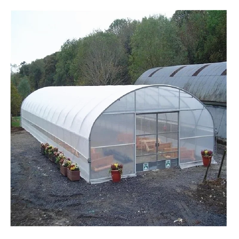
Farming Singlespan/Tunnel Greenhouse with Irrigation and Hydroponic Growing System 