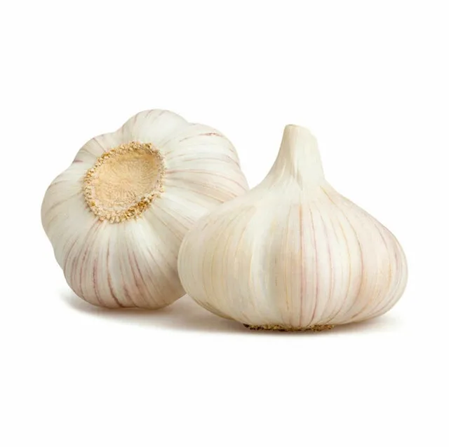 Garlic Supplier Wholesale Export 20kg 10Kgs Carton Box Normal White Chinese Fresh Garlic
