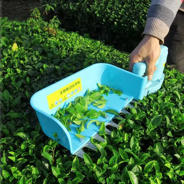 new technology  Waterproof  tea collection machine Electric cordless tea picking machine Tea Harvester Plucking