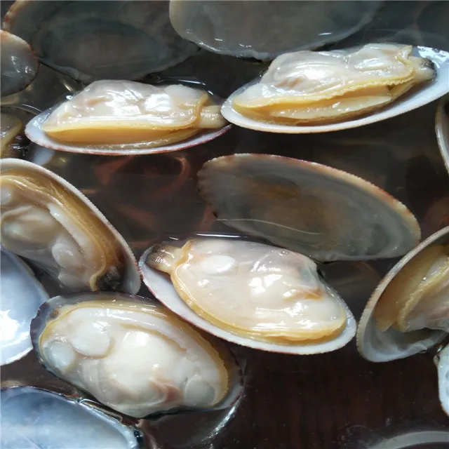 
FROZEN COOKED NEW PRODUCED BABY CLAM 