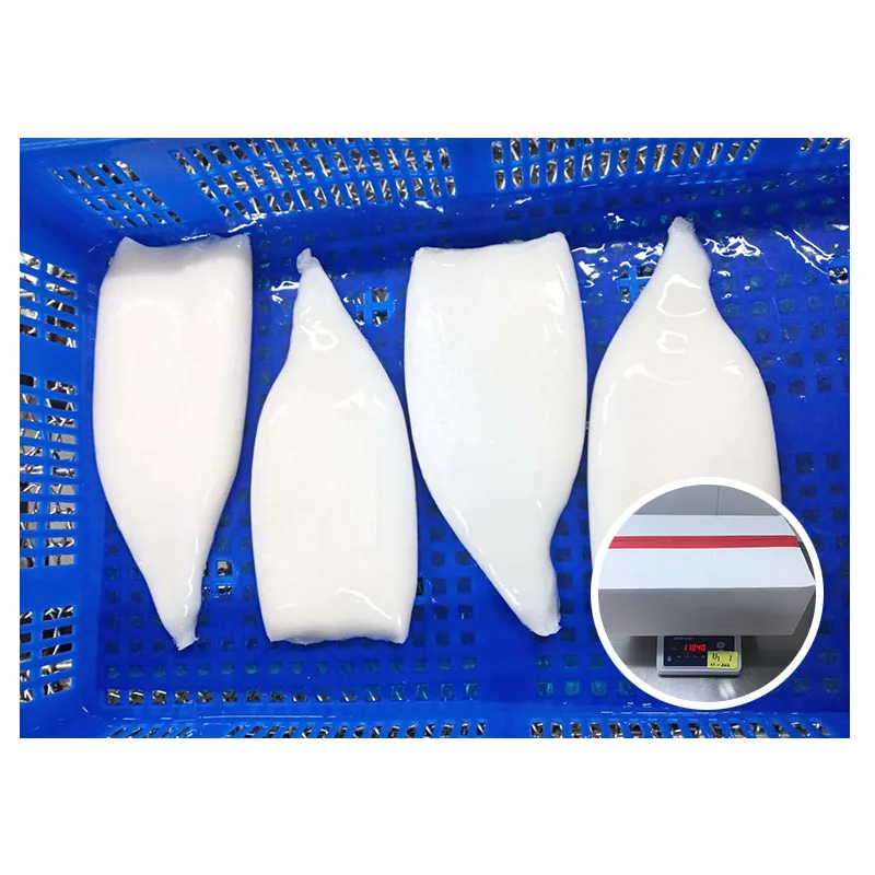 2021 Hot Sale Sea Frozen Squid Tube Giant Squid All Size