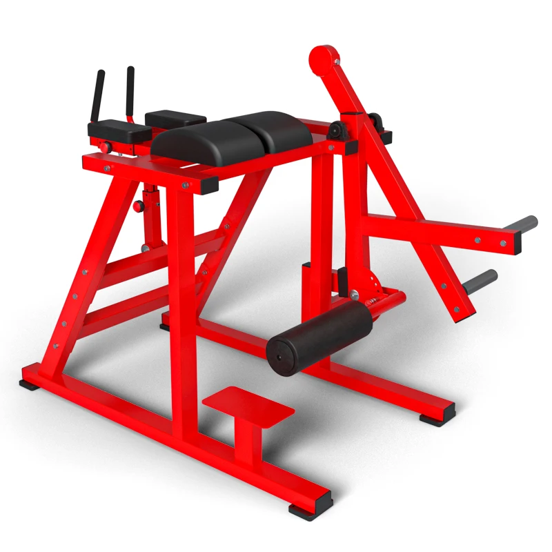 Hot Sale High Quality Gym Fitness Equipment Home Sports Reverse Hyper Extension Machine for Direct