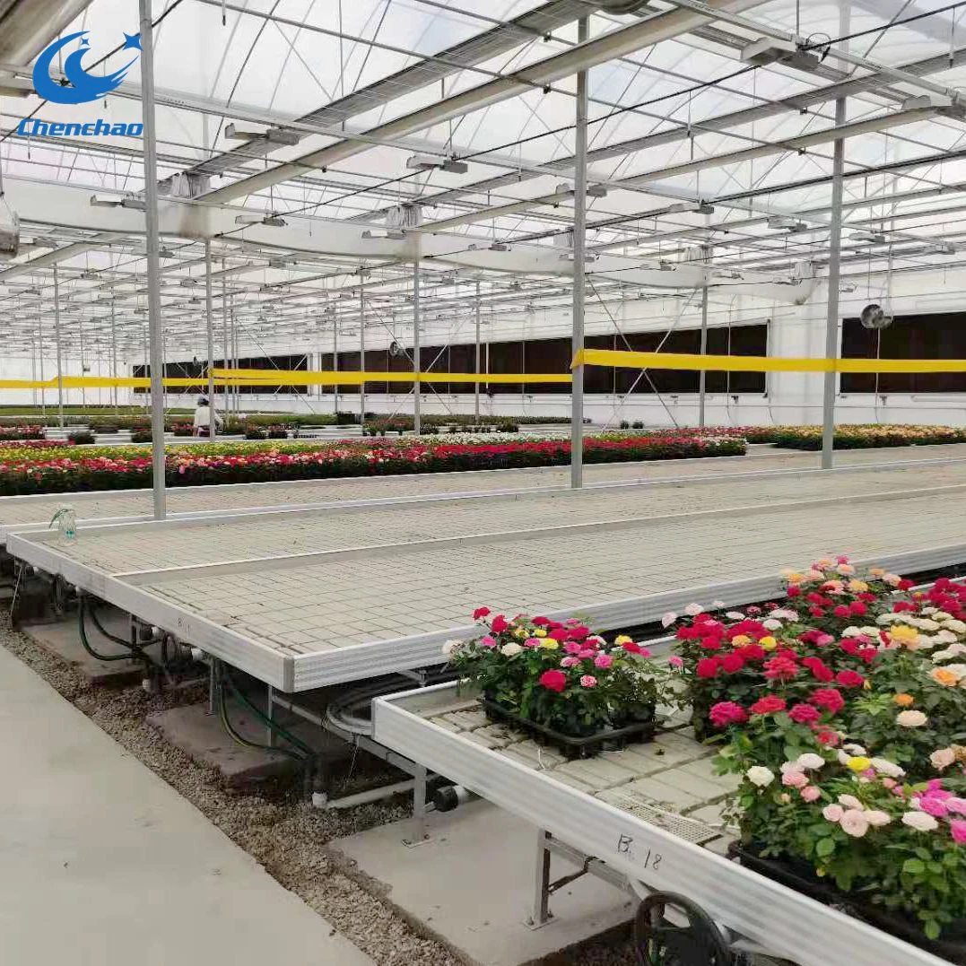 Ebb and Flow Rolling Benches/Hydroponic Growing Systems
