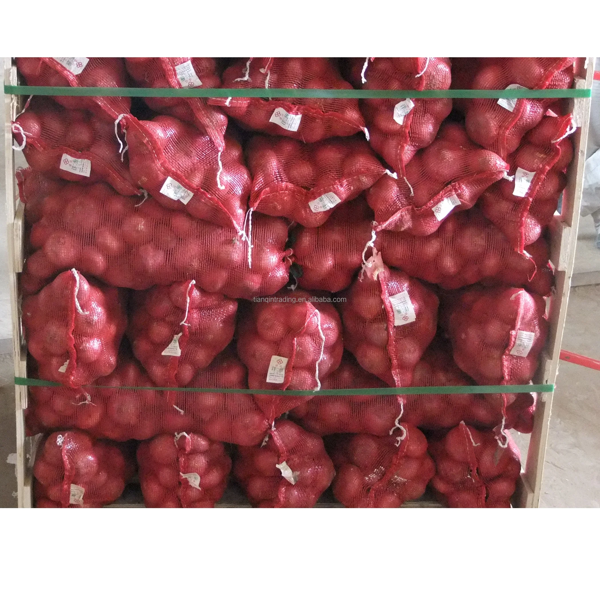 2022 лук по оптовой заводской цене в Китае