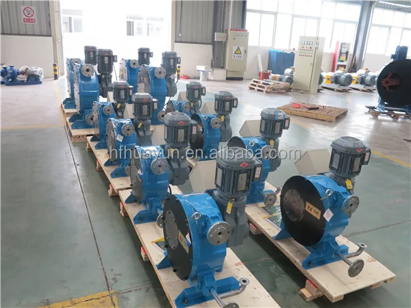 TWO HEAD Professional Good Quality Best price industrial hose pump