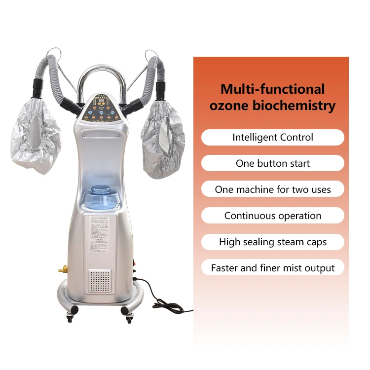 2024 Hot sale Ozone Micro-Mist Nano Hair Steamer Biochemical Instrument Dry Hair Beauty Spa Treat For Hair Salon