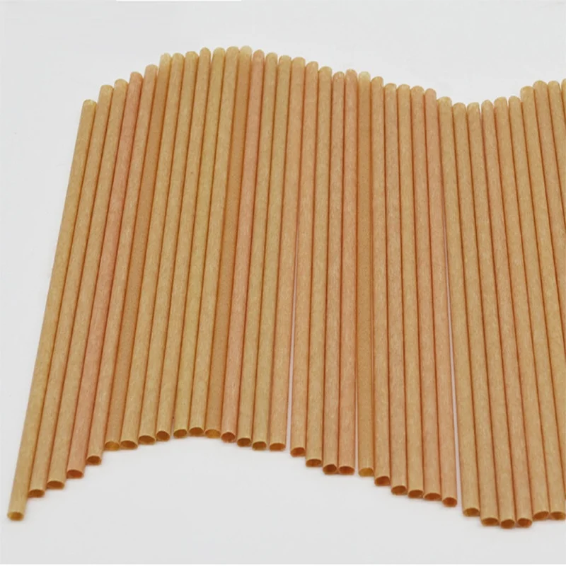 Vegetable fiber Individual wrapped sugarcane bagasse straw Compostable bio degradable Sugar cane drink straw