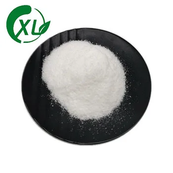 Factory Supply Pepsin Food Additive CAS 9001-75-6 Pepsin Enzyme Powder