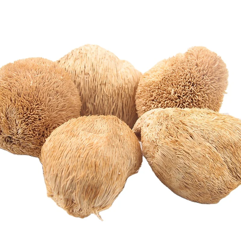 Низкая цена оптовая продажа пищевая Львиная Грива полезные травы сушеные для экстракта