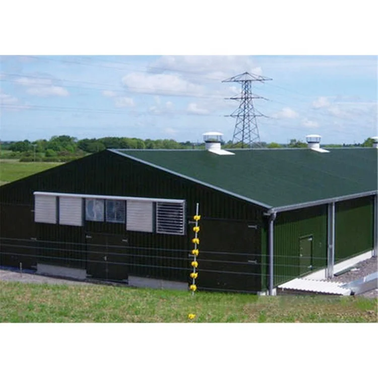 Low cost broiler chicken goat farm shed manufacturer steel structure