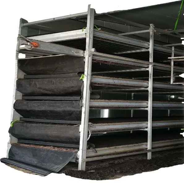 HOT SALE!!Mushroom Growing NETS/Mushroom greenhouse modern farm/Mushroom Growing racks
