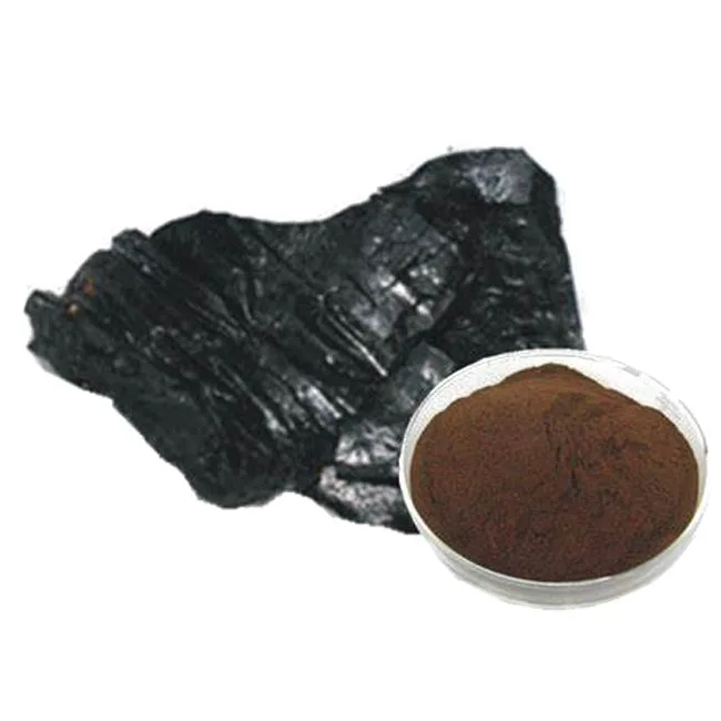 Shilajit Extract Powder Factory Price Health Supplement Bulk Pure Natural Shilajit Extract Powder 20% fulvic acid