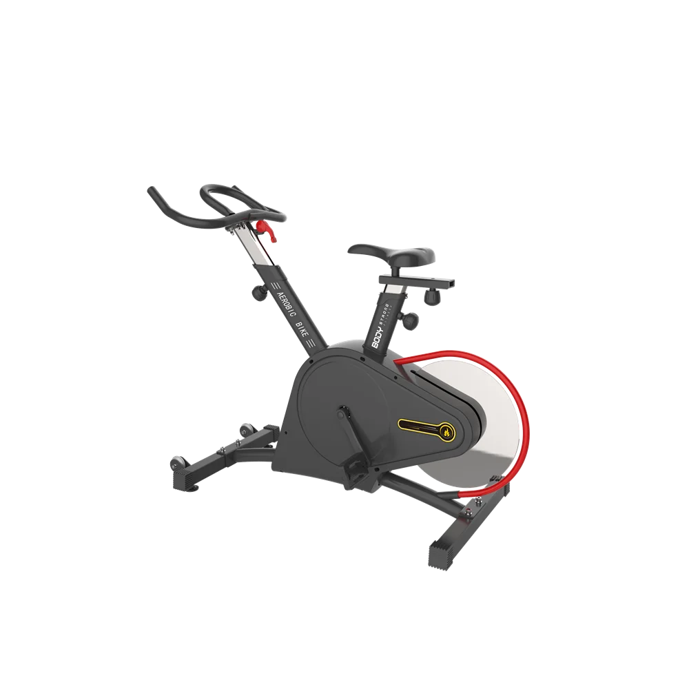 Exercise Bike Adjustable Magnetic Resistance Silent Belt Drive Indoor Cycling Bike