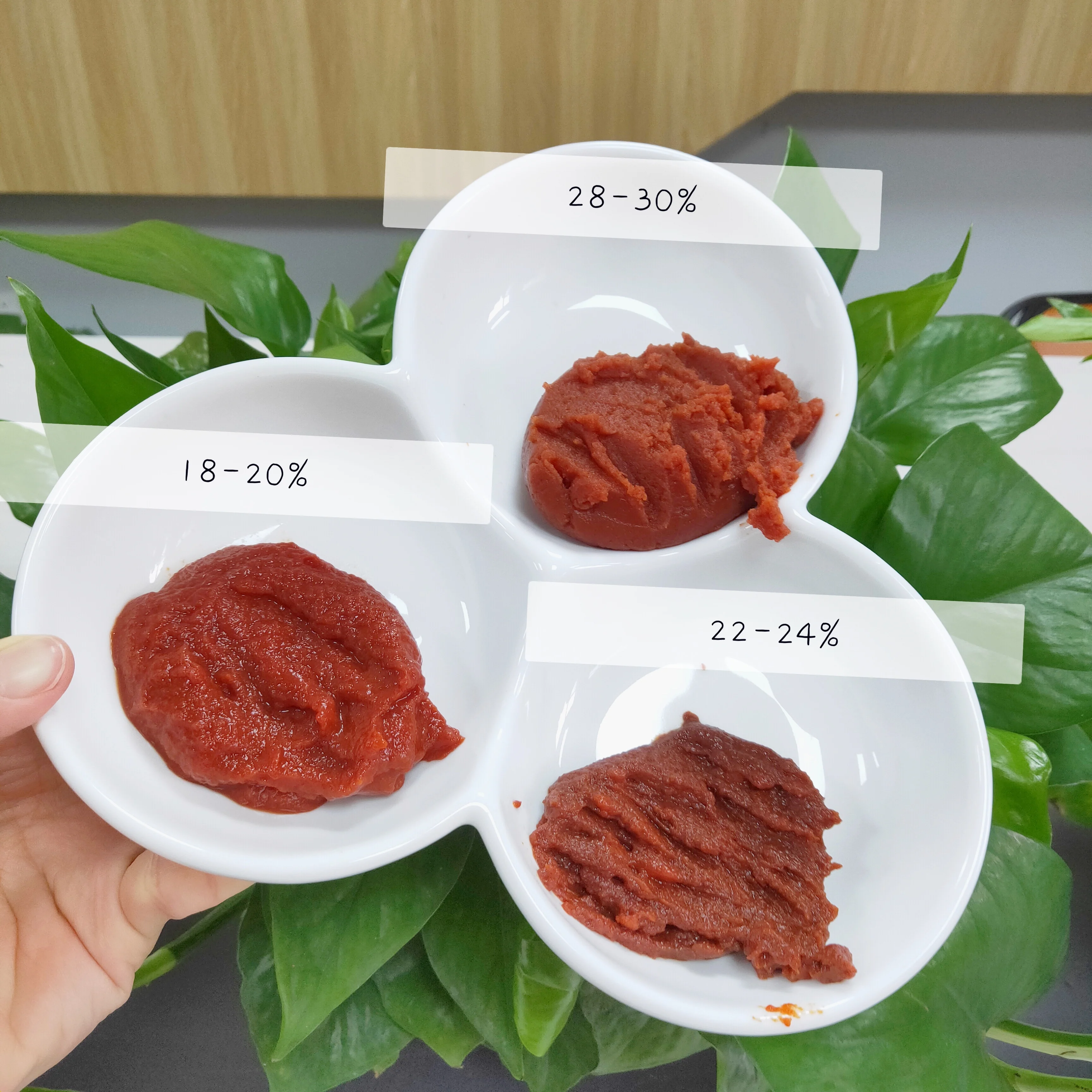 70g Tomato Paste in Pouch Sachet Al Mudhish 22-24% Tomato Paste 100% Pure Without Additives Tomato Paste
