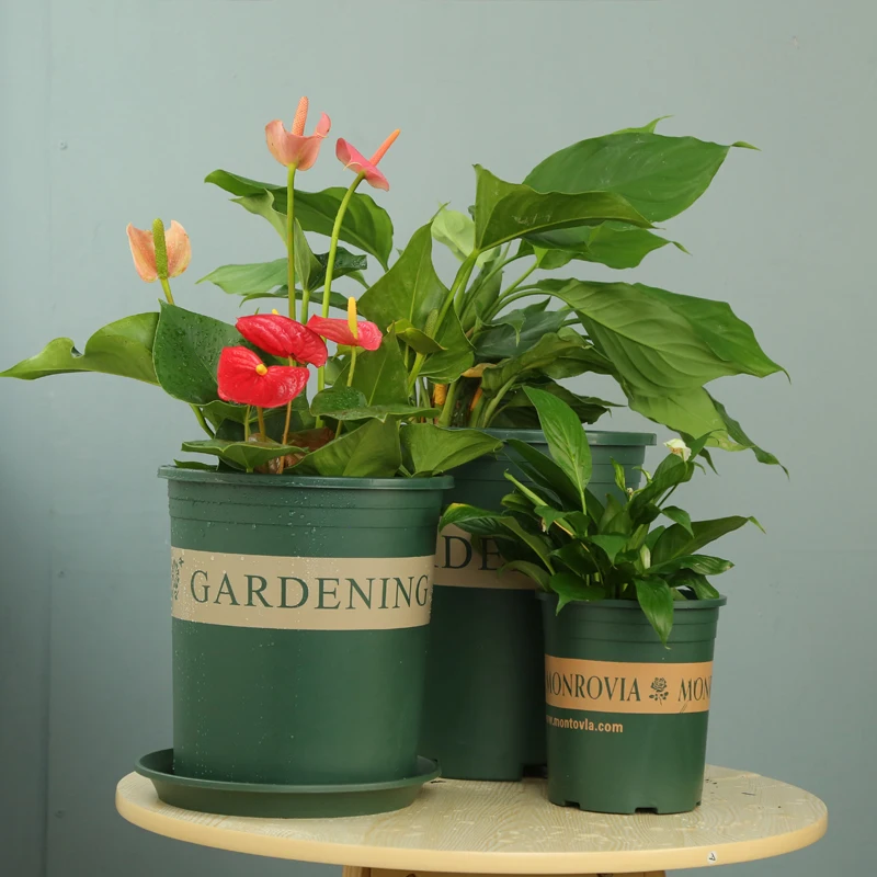 
plant hanging pots indoor outdoor soft 3 gallon glass flower pot 5 gallon pot plastic plant pot 