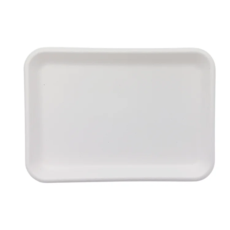 Экологически чистые одноразовые тарелки, большой прямоугольный поднос из пульпы сахарного тростника для мяса
