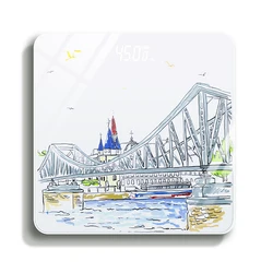 Personal human weight digital bathroom scale