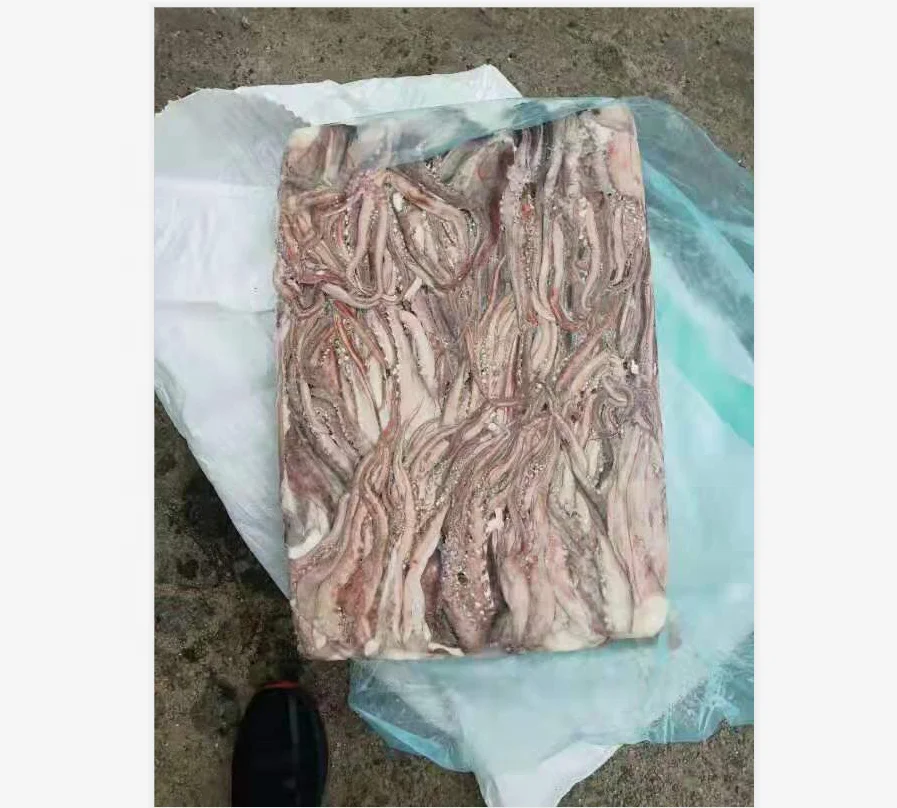 
Good Sale Seafood Fish Frozen Peru Squid 
