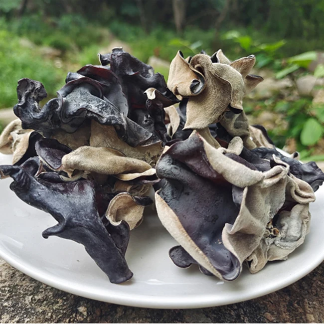 FRESH ORGANIC DRIED BLACK FUNGUS MUSHROOM IN CHINA GRADE A * HOT* HOT*HOT* 2023 FUNGUS