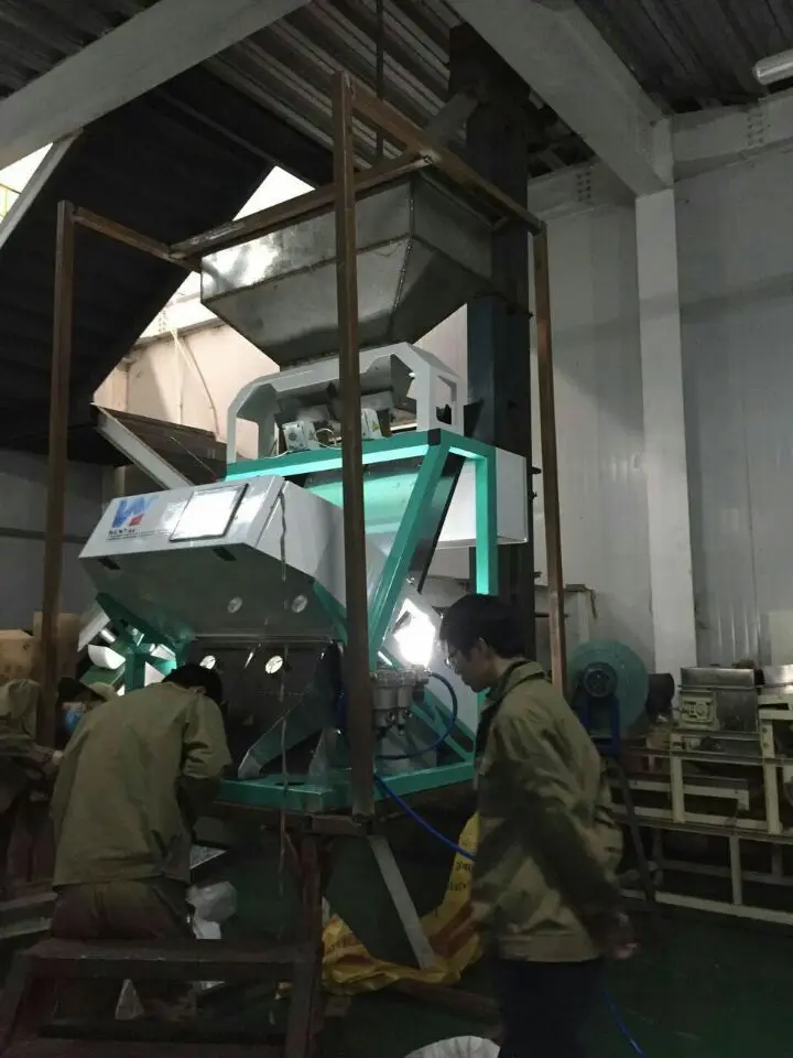 RGB Pulses Color Sorter Machine Lentils Sorting Machine For Dal Processing Line