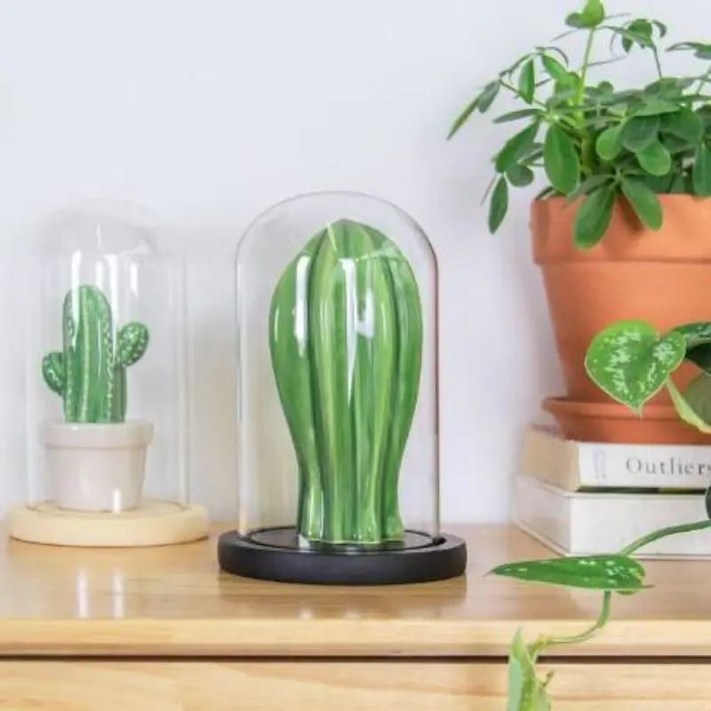 Glass Dome Preserved Flower Rose Wholesale Glass Dome With Wood Base For Valentine Day